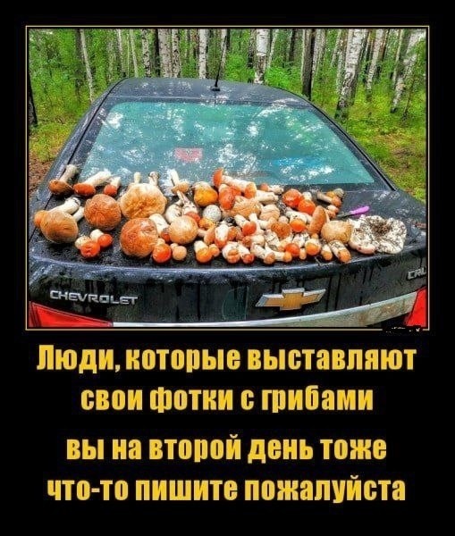 Так себе картинки 23.09.23