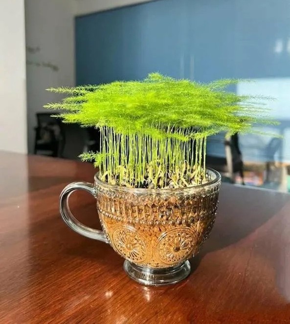 Разное