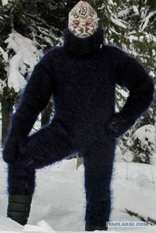 Мохнозадые чудовища