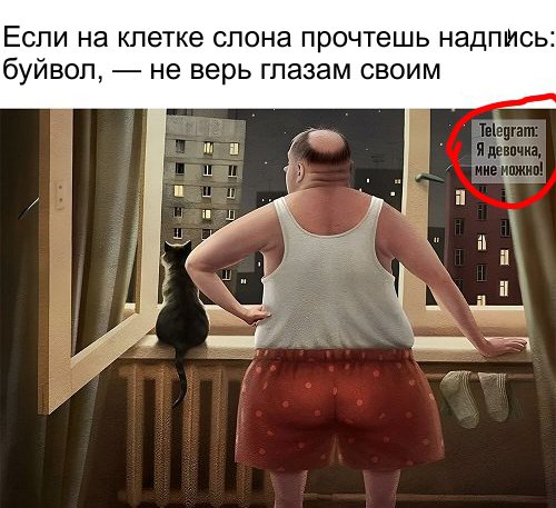 Так себе картинки 11.11.24