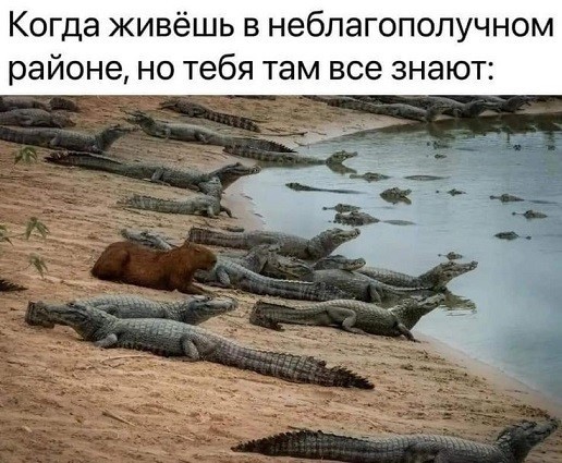 У меня муж дома