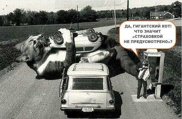Завалялось тут случайно немного забавных картинок
