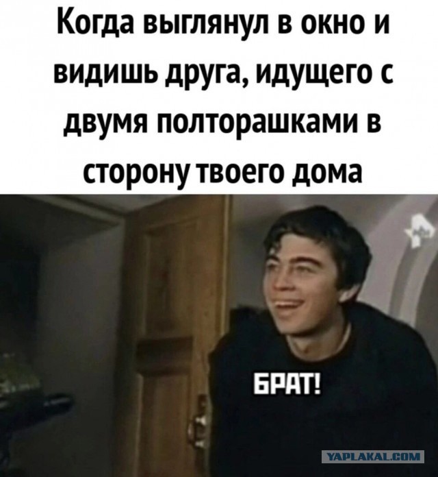 Картинки 23.04.25