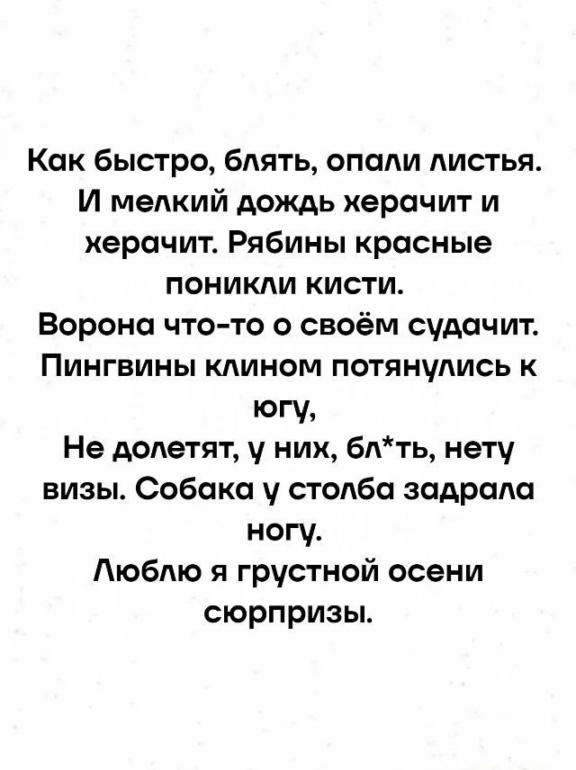 Веселые картинки в маленькую пятницу (24.09)