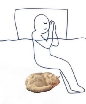 Шерстяные пидо.... братья наши меньшие