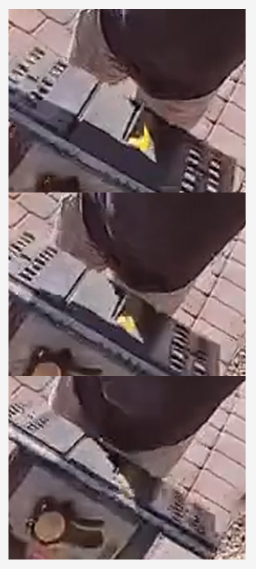 Были бы волосы - поседел бы