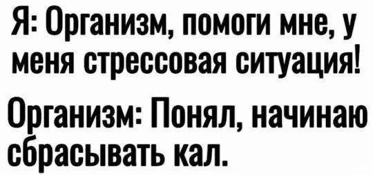 Забористые байаны