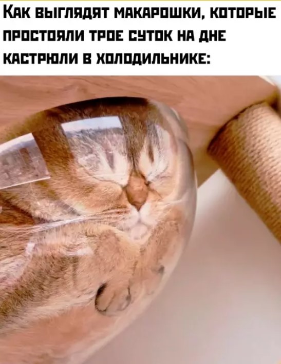 Картиночки, баянчики 03 июня
