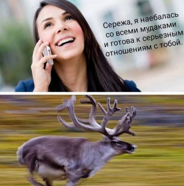 Почему женщины любят асоциальных мужчин?