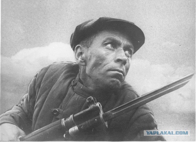 Дорога жизни...