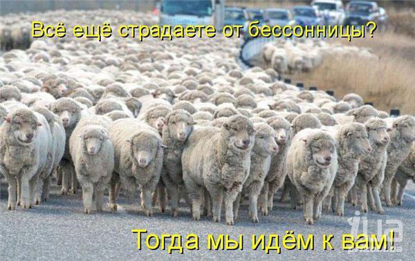 Необычный случай в «Что? Где? Когда?» (Финал 2013)
