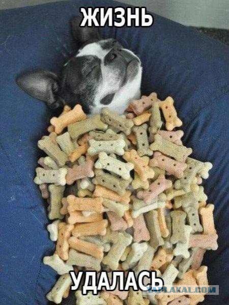 Мини подборка приколов