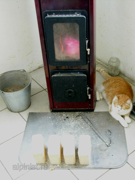 Котовторник 01.04.2014