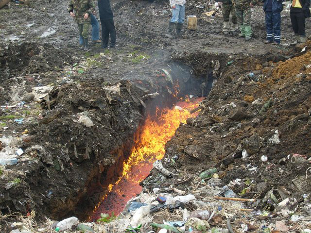 Как сгорает тонна красной икры