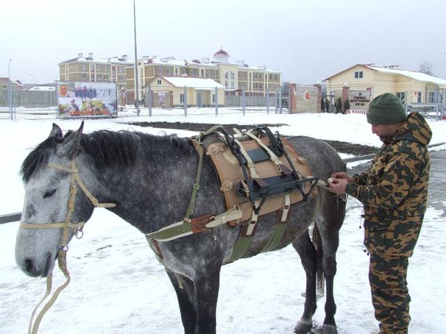 34-я горная бригада: Вьючно-транспортный взвод