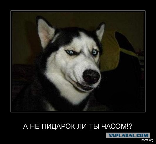 Про принципы