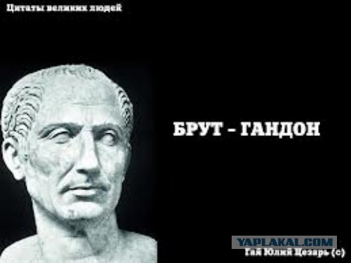 Худшие идеи в истории