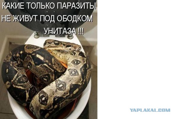 Чёрт, чёрт, чёрт!