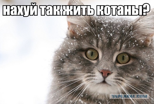 Книга желаний