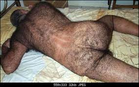 Плюсомет со шпалометом