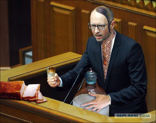 Жабы на яйценюха