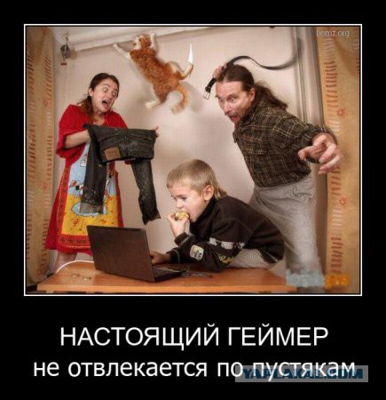Весёлое из сети