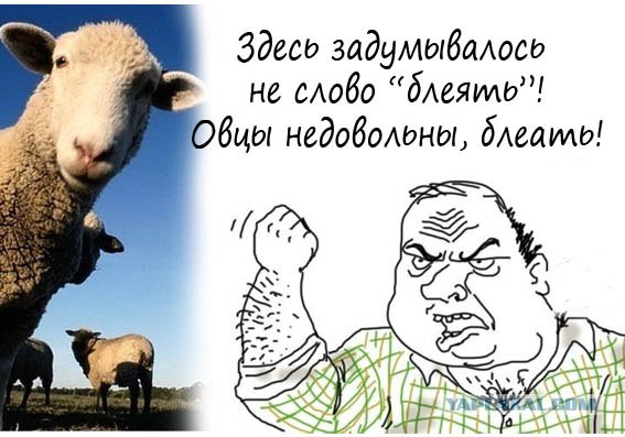 Иллюстрируем безграмотность