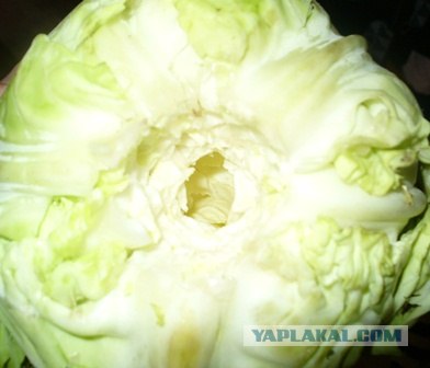 Как удалить кочерыжку