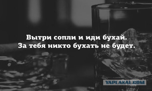 Алкопост.