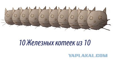 Сложный способ нарисовать кота