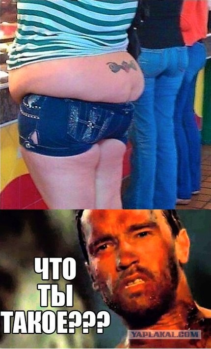 Картинки на пятницу.