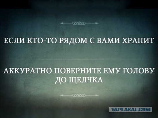 Плюшкиным посвящается