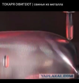 Свинка на фрезере