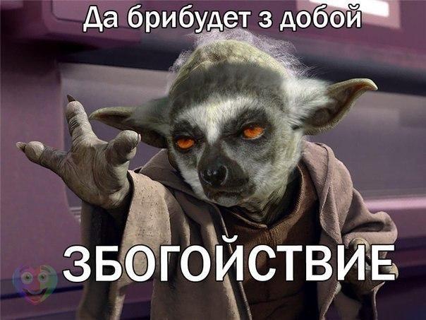 Картинки и демотиваторы