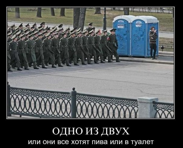 Картинки и гифки