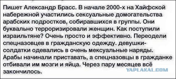 Трансгендеры против мигрантов.:-)