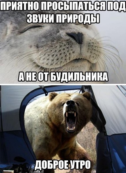 Подборка прикольных картинок