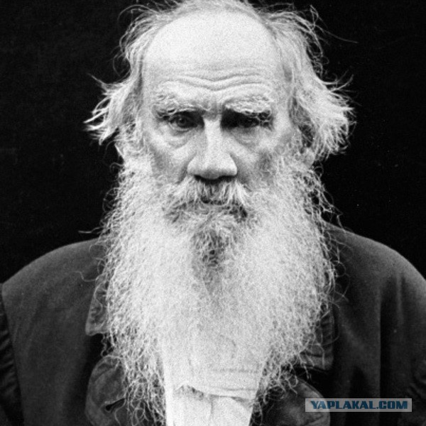 20 занимательных фактов о бороде