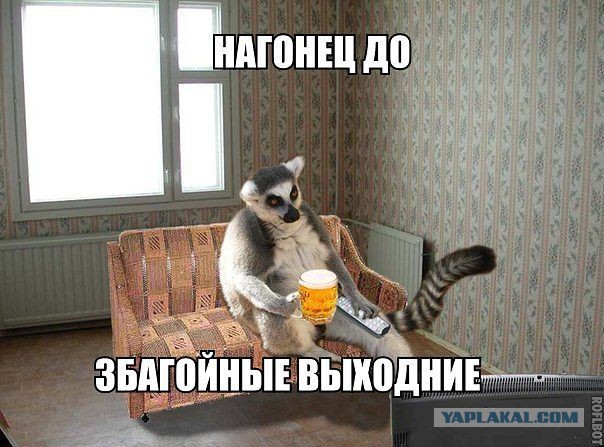 Веселые картинки