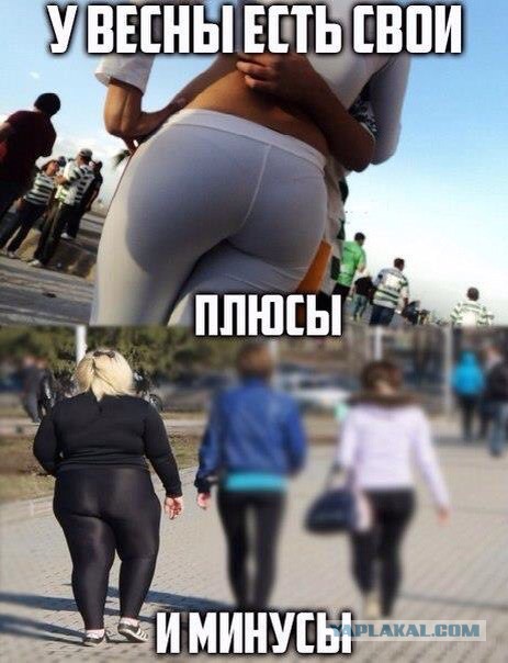 Картинки из ваших этих итернетов...3