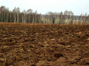 Останцы от переработки породы в прошлом планеты