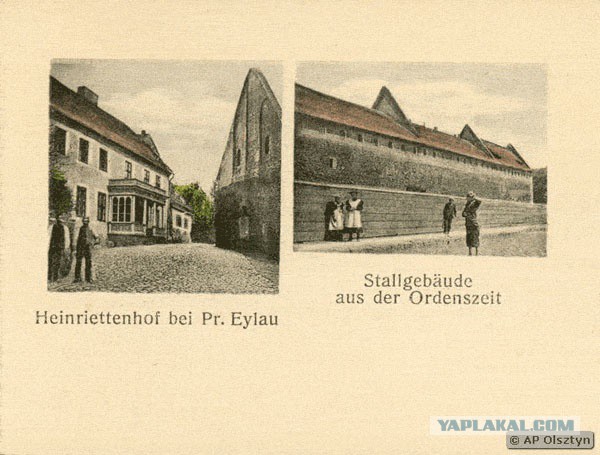 Крякнет ли серый гусь?