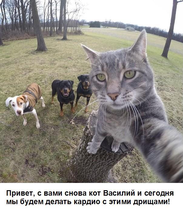 Подборка смешных картинок
