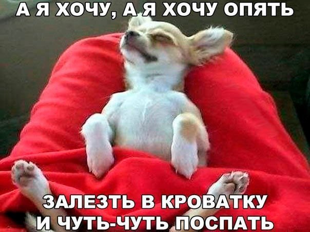 Весёлые картинки для настроения