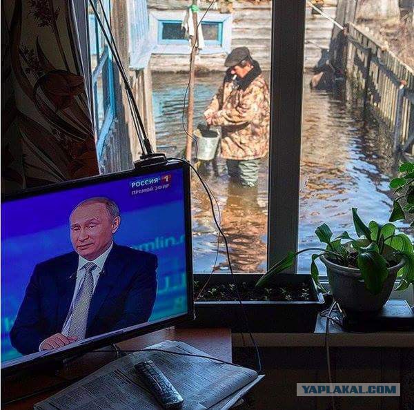Картинки из сети