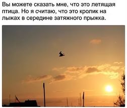 Смешные комментарии 11.09.2016