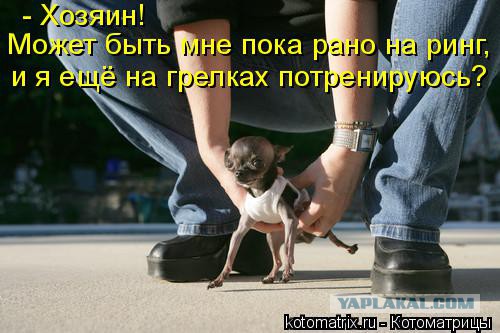 Чеченский боец принял вызов