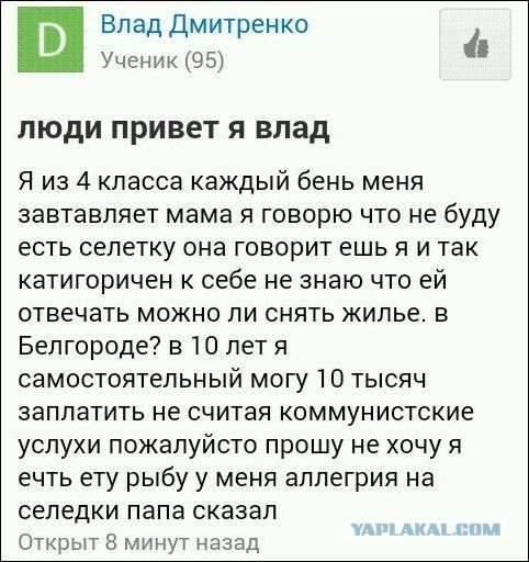 Смешные комментарии из социальных сетей 03.11.2016