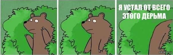 Как вы считаете, ЭТО нормально? А ведь это депутат от Единой России... Меделеевск!