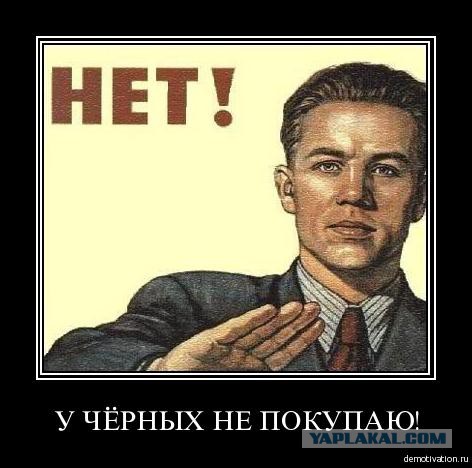 "Ты что, нищий?" - владелец Амедиатеки о тех, кто её не смотрит